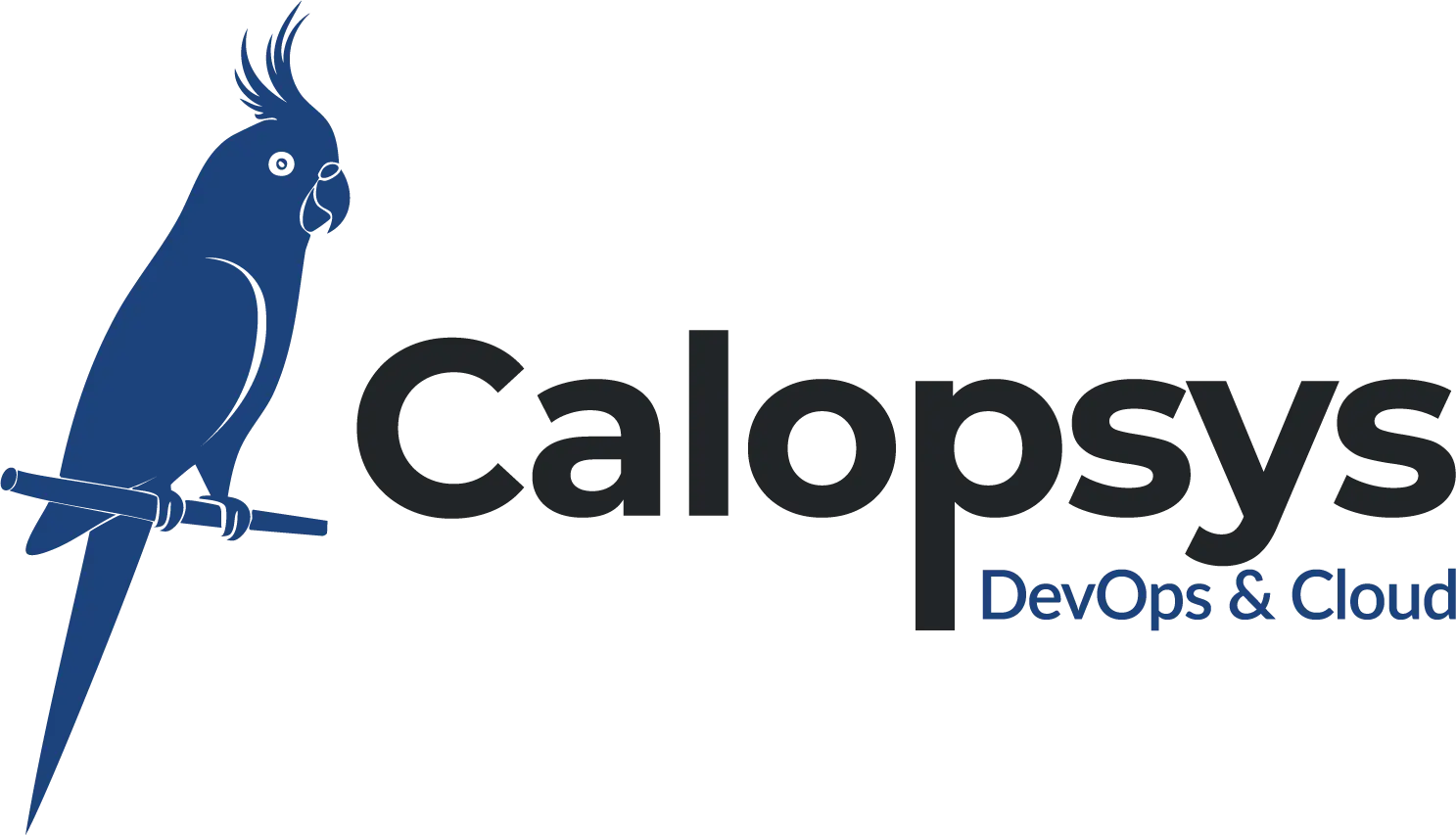 calopsys